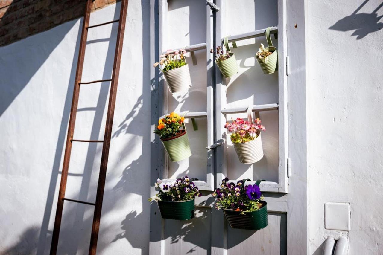 Rozmaring Vendégház Zengővárkony Exterior foto